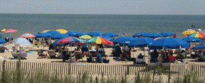 Rehoboth Real Estate allows family fun in the sun!!