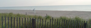 Bethany Beach turtle walk