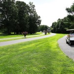 salt pond neighborhood
