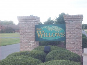 The Willows Lewes Real Estate