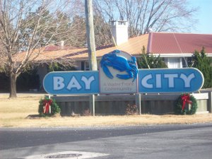 Delaware Mobile Homes Bay City Millsboro 