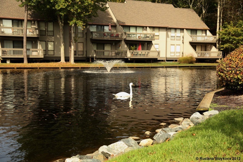 Sea Colony West Homes For sale Delaware Beach Homes