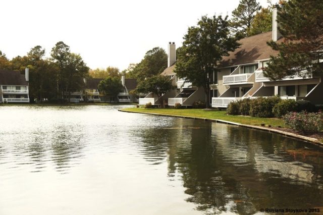 Sea Colony Condos